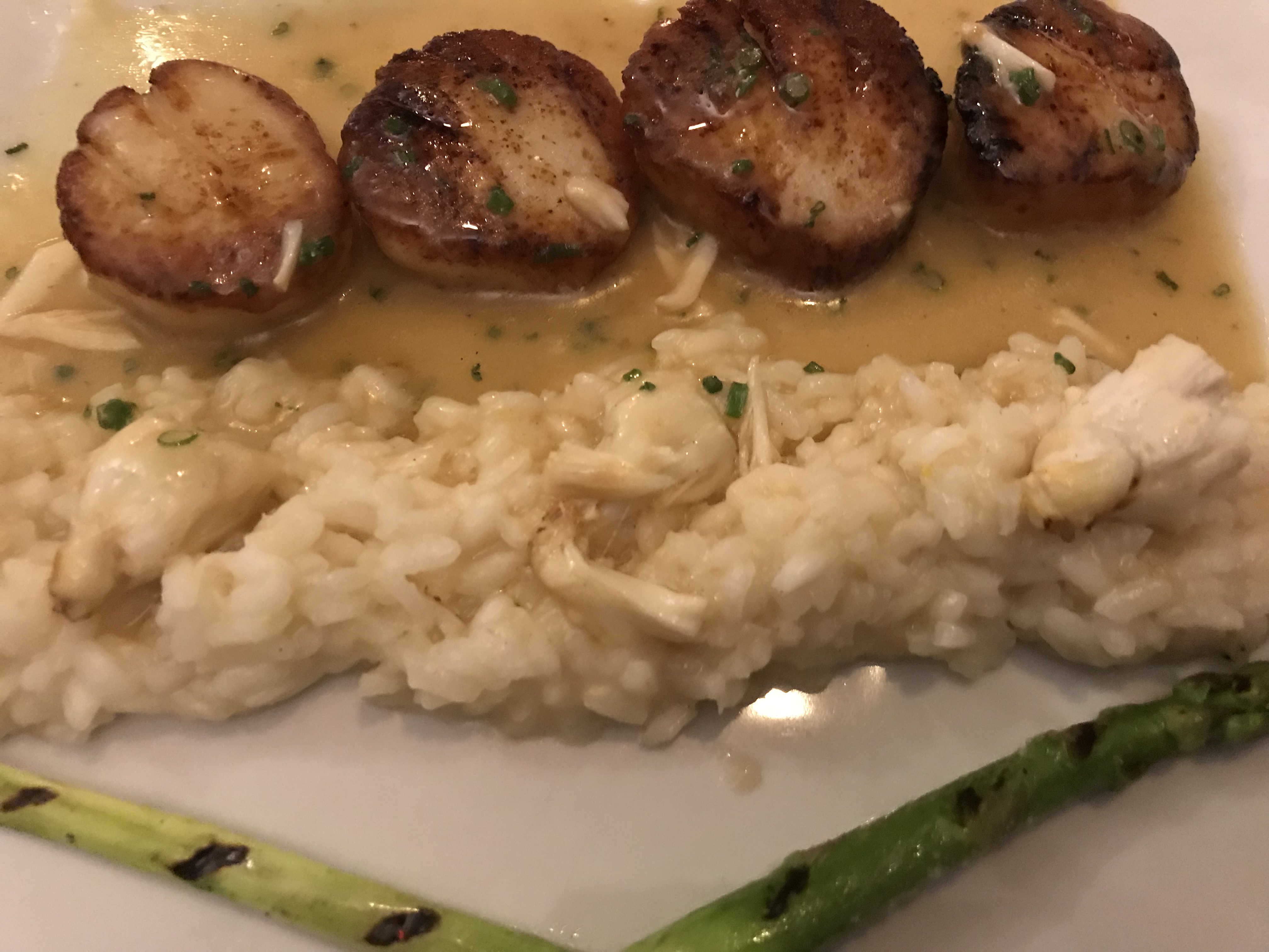 Scallops at Daniel's Bistro Point Pleasant Beach